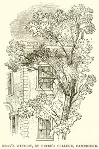 Grays Fenster, St. Peters College, Cambridge von English School