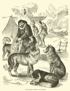 Grønland Eskimo hundeslede av English School