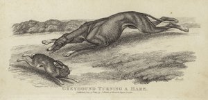 Greyhound snur en hare av English School