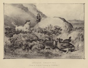 Rypeskyting (farge litho) av English School