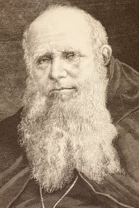 Guglielmo Massaia (litho) av English School