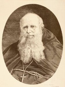 Guglielmo Massaia (litho) av English School