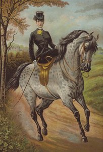 HKH Prinsessen av Wales (chromolitho) av English School