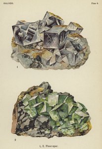 Haloider, fluor-spat (farge litho) av English School