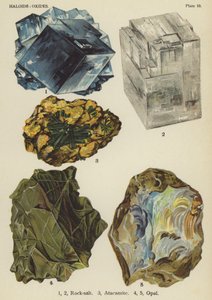 Haloider, oksider, bergsalt, atakamitt, opal (farget lito) av English School