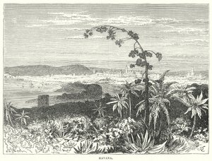 Havana (gravering) av English School