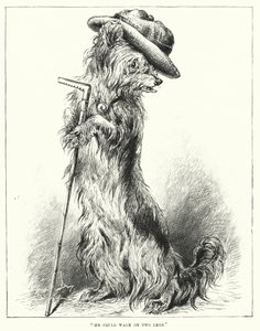 Er konnte auf zwei Beinen gehen