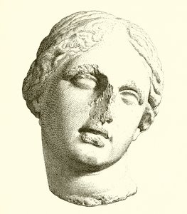 Leder av Afrodite av English School