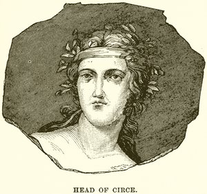 Leder for Circe av English School