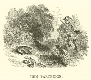 Hønepatt (gravering) av English School