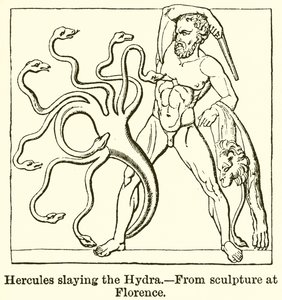 Hercules dreper Hydraen av English School