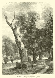 Hernes Oak, like før det falt av English School