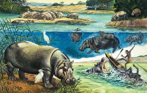 Flodhest av English School