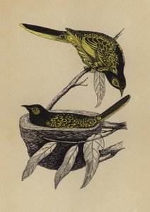 Honningspiser (litho i farge) av English School