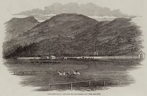 Hong-Kong Races, Race for Plenipo Cup (gravering) av English School