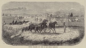 Hester som trår ut korn i den romerske Campagna (gravering) av English School