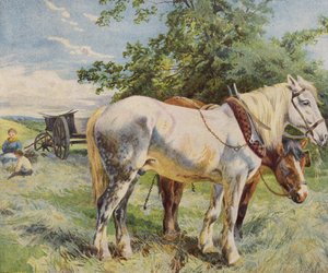 Hester som tar en pause fra arbeidet på en gård (farge litho) av English School