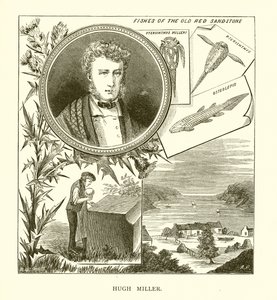 Hugh Miller av English School