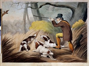 Jakt på nebb i England. Akvarellgravering fra 1800-tallet. Gien, jaktmuseum. av English School