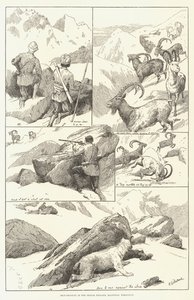 Ibex-skyting i Shigar Nullahs, Baltistan, Himalaya (gravering) av English School