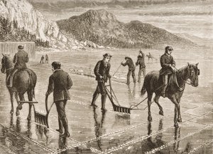 Ice-Harvest on the Hudson River, New York State, ca. 1870, fra 
