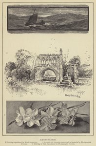 Illustrasjon (gravering) av English School