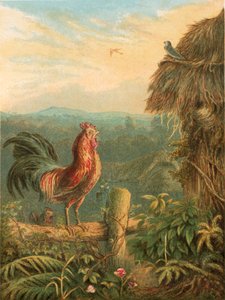 Illustration für Gray