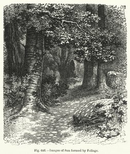 Bilder av sol dannet av løvverk (gravering) av English School