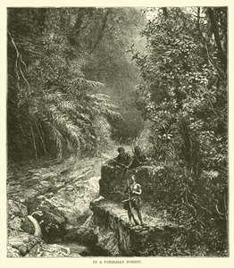 I en Formosan-skog av English School
