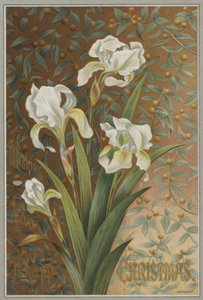 Iris (kromolitt) av English School