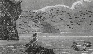 Isle of Man (gravering) av English School