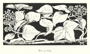 Ivy (engraving)   1418255   no       norwegian Successfully Translated  Original: Alphonse III des Asturies, dit Le Grand - Alfonso III (1265-1291), King of Aragon - Peinture de Jaume (Jaime) Mateu (1382-1452) - 1427 - Tempera on panel - 56,5x45,2 - Museu  av English School