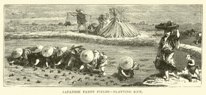 Japanske rismarker, planter ris av English School