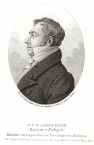 Jean Vincent Felix Lamouroux av English School