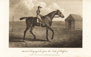 Jockey på den berømte fullblodsraceren Mufti, tilhørende hans Grace the Duke of Bedford av English School