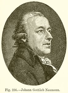 Johann Gottlieb Naumann av English School