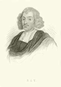 John Ray av English School