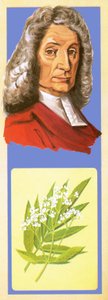 John Ray av English School