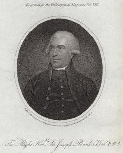 Joseph Banks av English School