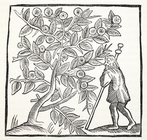 Joseph of Arimathea and the Glastonbury Thorn, illustrasjon fra Chap-books of the Eighteenth Century av John Ashton, pub. 1882 av English School