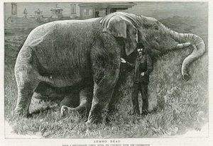 Jumbo, død av English School