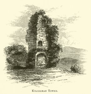 Kilcolman Tower av English School