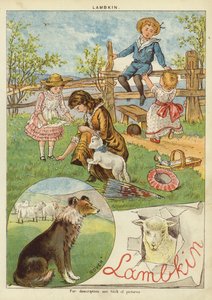Lammekin (chromolitho) av English School