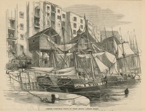 Lander julefrukt på Fresh Wharf av English School