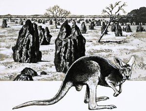 Store termitthauger nær Darwin, Australia, og en kenguru i forgrunnen av English School