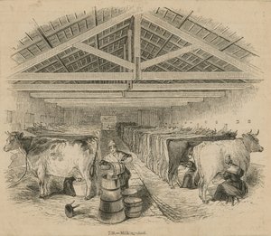 Laycocks Dairy Farm, datert juli 1841 av English School