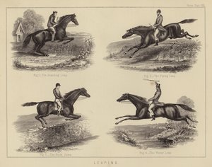 Leaping (farge litho) av English School