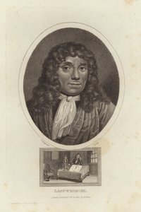Leeuwenhoek av English School