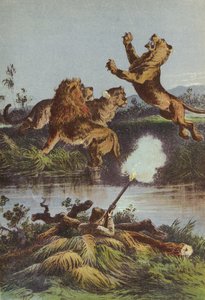 Løvejakt om natten av English School