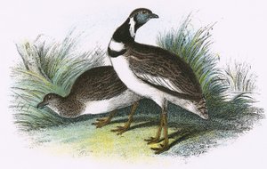 Lille bustard av English School
